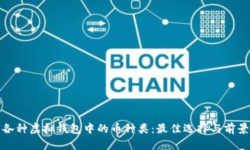 探索各种虚拟钱包中的币种类：最佳选择与前景分析