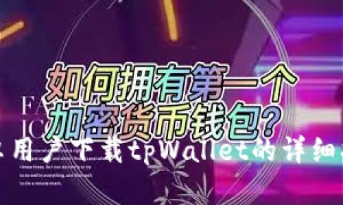 安卓用户下载tpWallet的详细指南