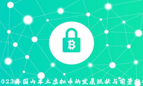 
2023年国内本土虚拟币的发展现状与前景分析