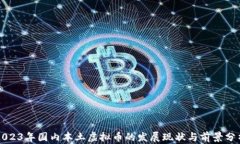 2023年国内本土虚拟币的发展现状与前景分析