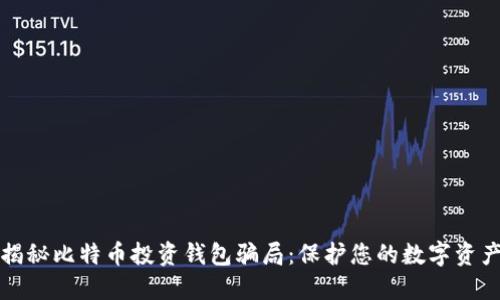 揭秘比特币投资钱包骗局：保护您的数字资产