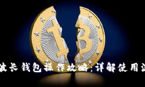 tpWallet波长钱包操作攻略：详解使用流程与功能