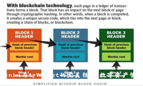 探索Tokenim与tpWallet的完美结合：数字资产管理的未来