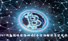USDT钱包转账能退回吗？全方位解析与实用指南