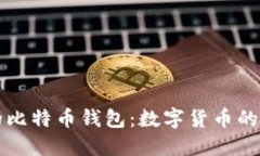 萨尔瓦多的比特币钱包：数字货币的未来与挑战