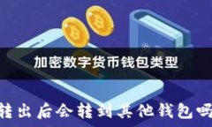   泰达币（USDT）转出后会转到其他钱包吗？详解