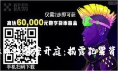 : 东阳特大虚拟币诈骗案开庭：揭露犯罪背后的真