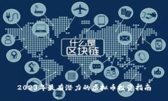 2023年最有潜力的虚拟币投资指南