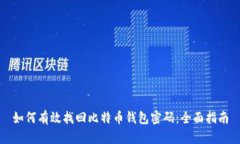 如何有效找回比特币钱包密码：全面指南