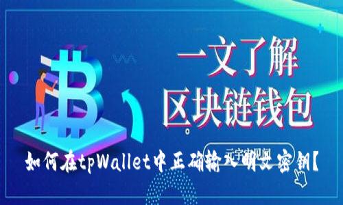 如何在tpWallet中正确输入明文密钥？