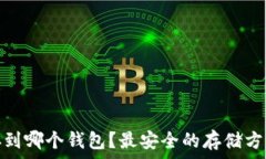  狗狗币存到哪个钱包？最安全的存储方式大揭秘