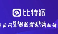 tpWallet更新后闪兑功能消失：问题解析与解决方案
