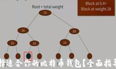 如何选择适合你的比特币钱包？全面指导与推荐