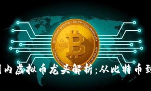 2023年国内虚拟币龙头解析：从比特币到新兴币种