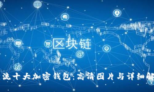 主流十大加密钱包：高清图片与详细解析
