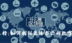 USDT钱包的选择：如何找到最适合你的数字资产存