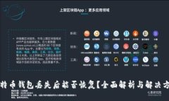 比特币钱包丢失后能否恢复？全面解析与解决方