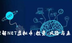 深入理解NET虚拟币：投资、风险与未来趋势