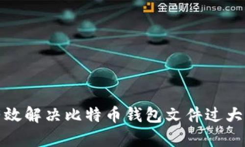 如何有效解决比特币钱包文件过大的问题