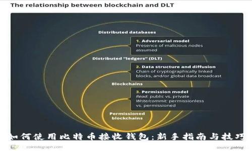 如何使用比特币接收钱包：新手指南与技巧