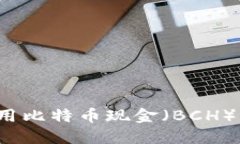 如何选择和使用比特币现金（BCH）钱包？完整指