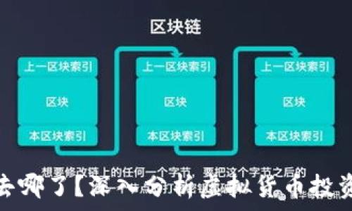   
虚拟币亏的钱去哪了？深入分析虚拟货币投资的风险与出路