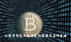 比特币钱包不能修复的原因及应对策略