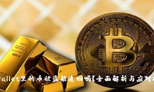 tpWallet里的币被盗能追回吗？全面解析与应对措施