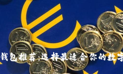 国内数字钱包推荐：选择最适合你的数字支付工具