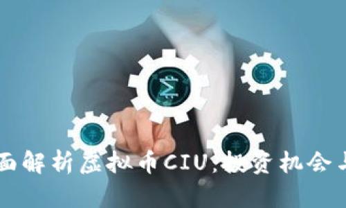 ### 全面解析虚拟币CIU：投资机会与风险分析