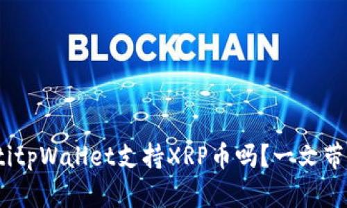 bianotitpWallet支持XRP币吗？一文带你了解