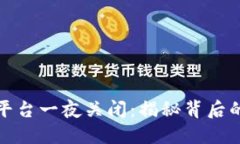 虚拟币交易平台一夜关闭：揭秘背后的原因与影