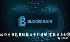 比特币钱包转账输出索引详解：掌握交易秘密