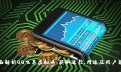 全面解析QQ飞车虚拟币：获取途径、用途及用户策