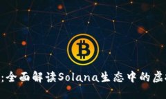 SOL币：全面解读Solana生态中的虚拟货币