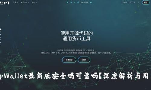 下载tpWallet最新版安全吗可靠吗？深度解析与用户指南