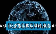 tpWallet：当您忘记私钥时，该怎么办？