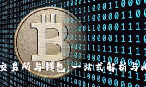 虚拟币交易所与钱包：一站式解析与比较指南