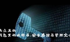 易于大众且的  加密钱包里的比特币：安全存储与