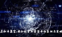 虚拟币暴富：揭秘投资加密货币的真相与策略
