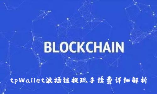 tpWallet波场链提现手续费详细解析