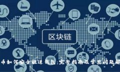 屎币如何安全放进钱包：完整指南及常见问题解