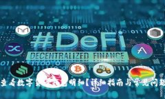 如何查看数字货币钱包明细？详细指南与常见问