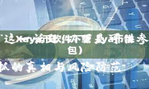 关于“TP钱包付盼是不是被抓”这一话题，以下是可供参考的、关键词和内容大纲示例。

TP钱包的安全性分析：付盼被抓的真相与风险防范