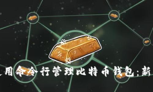 如何使用命令行管理比特币钱包：新手指南
