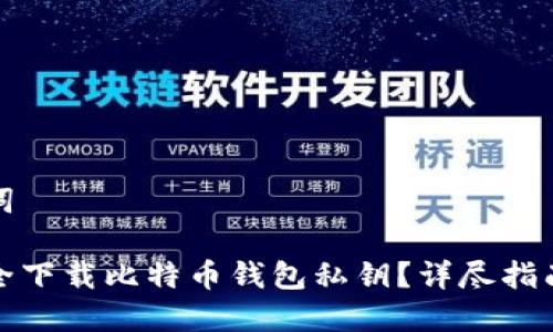 思考与关键词

优质如何安全下载比特币钱包私钥？详尽指南与注意事项