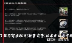 全面了解苍穹虚拟币：投资前景、技术分析与市