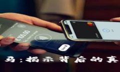 虚拟币落马：揭示背后的真相与影响